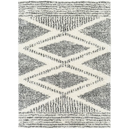 Livabliss Deluxe Shag DXS-2309 Machine Crafted Area Rug DXS2309-6796